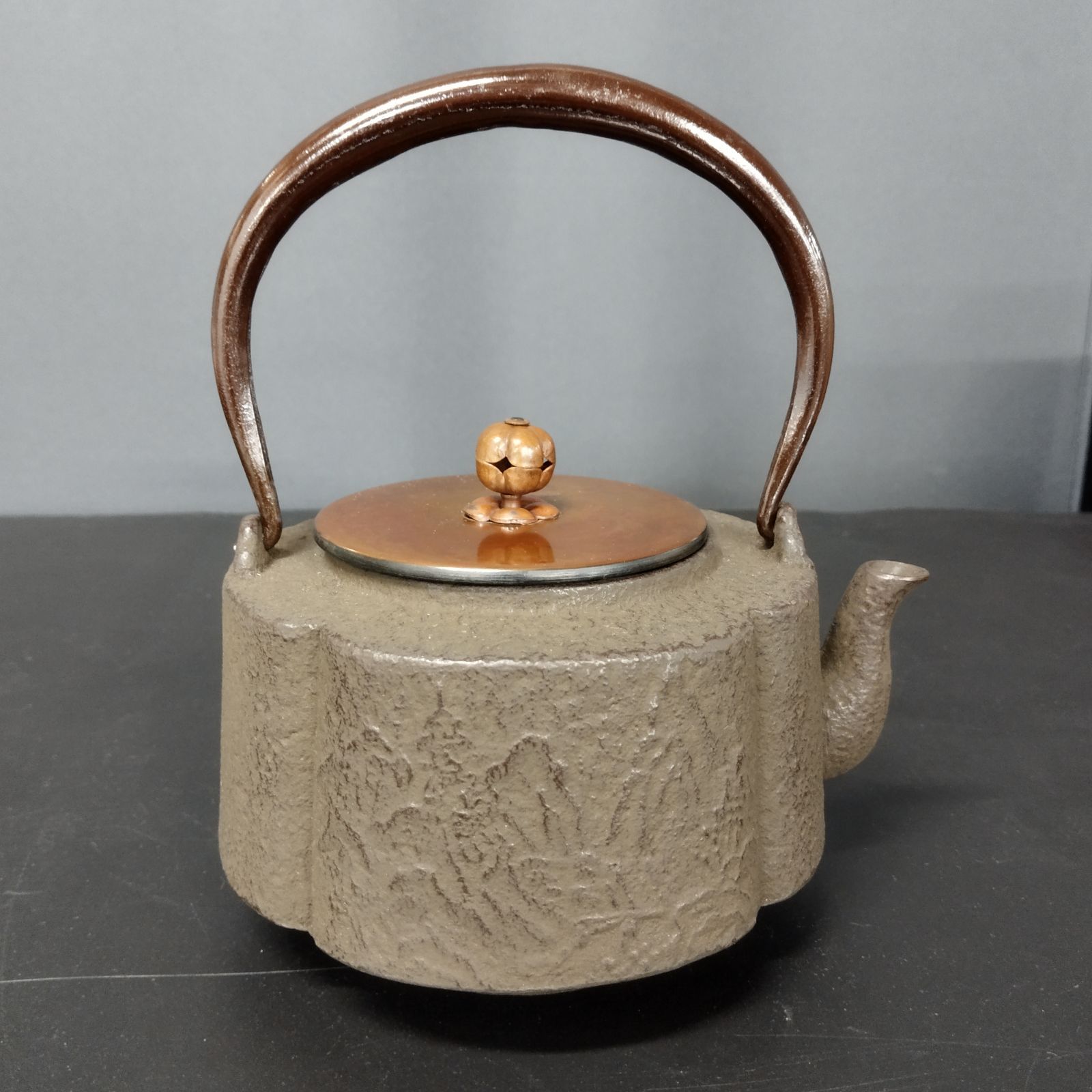 D9054]龍龍敏堂造 鉄瓶 山水木瓜 中 湘南台店 - メルカリ