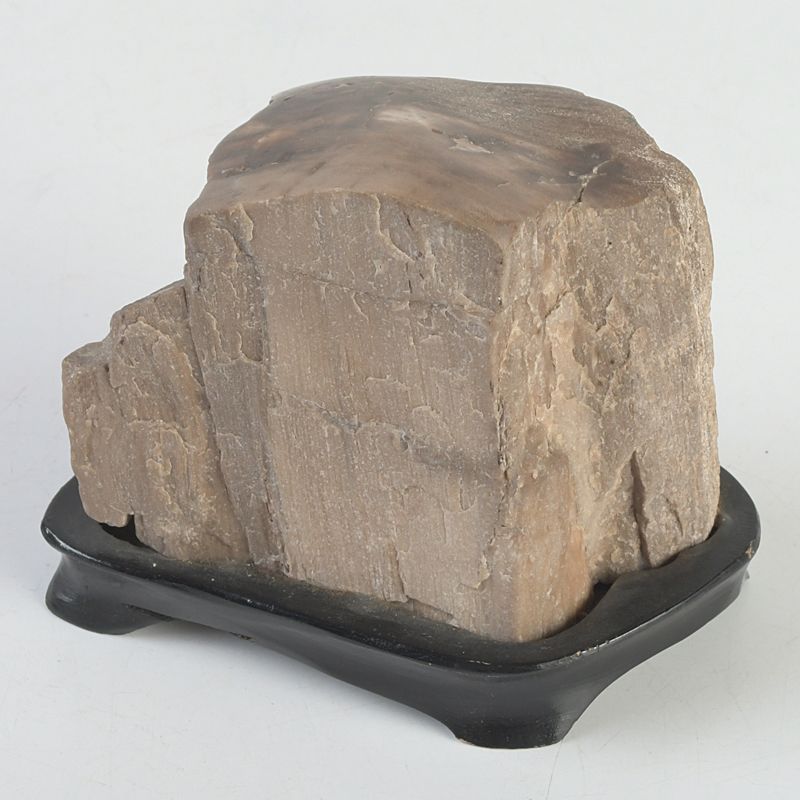 鑑賞石 木化石 置物 唐木台付 N S366