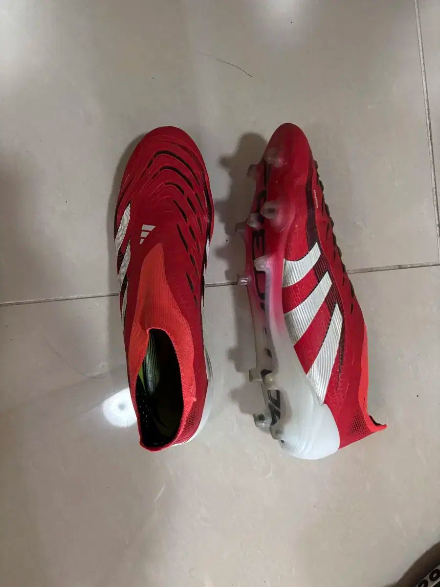 adidas Sarpei レッド スパイクシューズ jp275 adidas Sarpei レッド