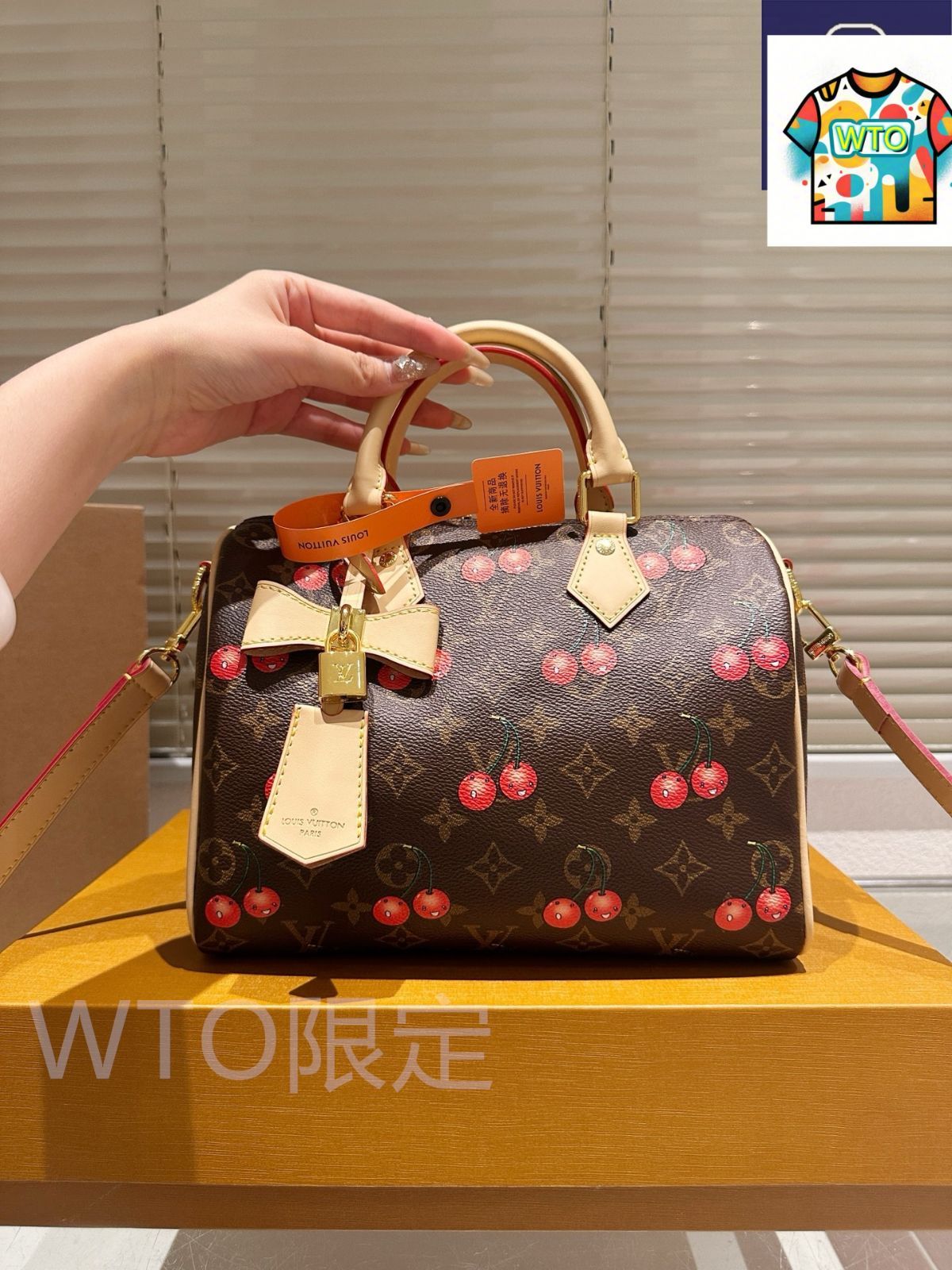 ※ばーばhiro※　　　　　　　　　　　　　【激レア 美品】ルイヴィトン 今日特価】Louis Vuitton ルイヴィトン スピーディ ピローバッグ 原版