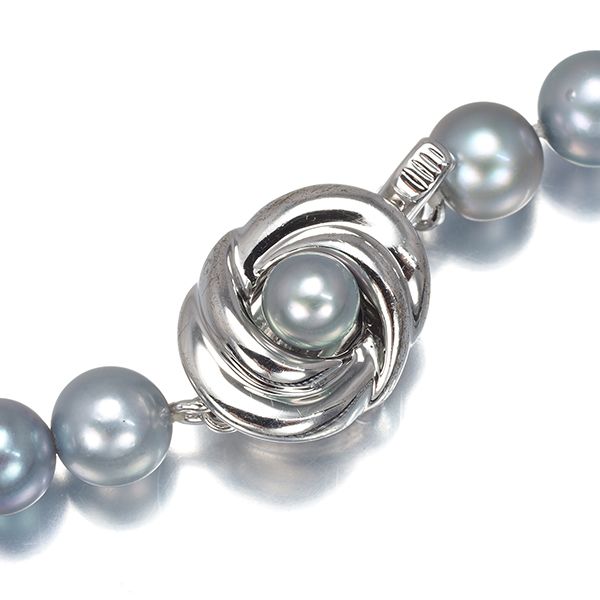 TASAKI グレー パール ネックレス TASAKI タサキ グレーパール ネックレス 43cm 真珠 8.0~8.5mm シルバー