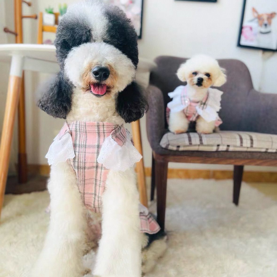 ペット用】大型犬用 犬服 冬用 プレミアム チェック柄 ボアベスト 紺