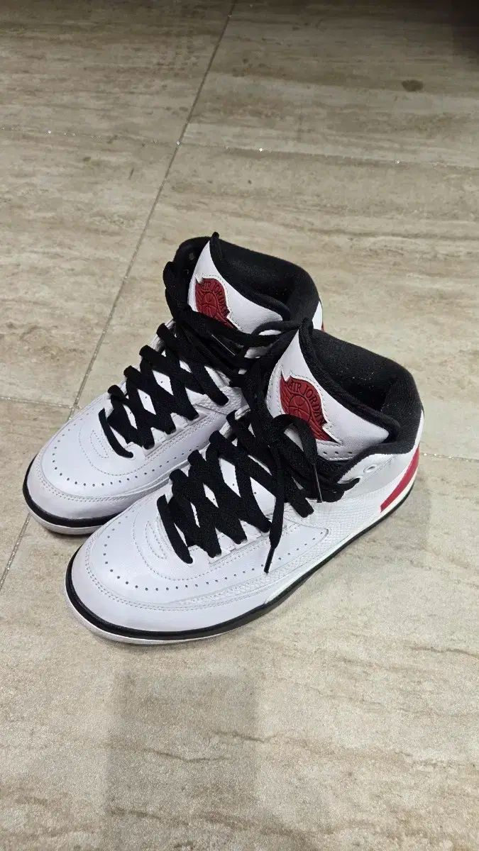 扇画「紅葉」下枯れの菊 寒菊 (日本画)