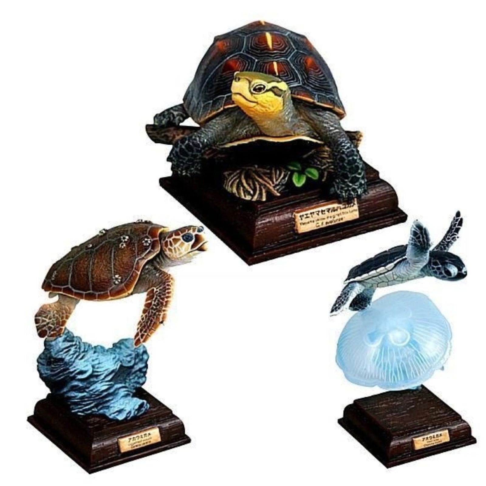 ネイチャーテクニカラー　日本のカメ　　全10種 ネイチャーテクニカラー 日本のカメ