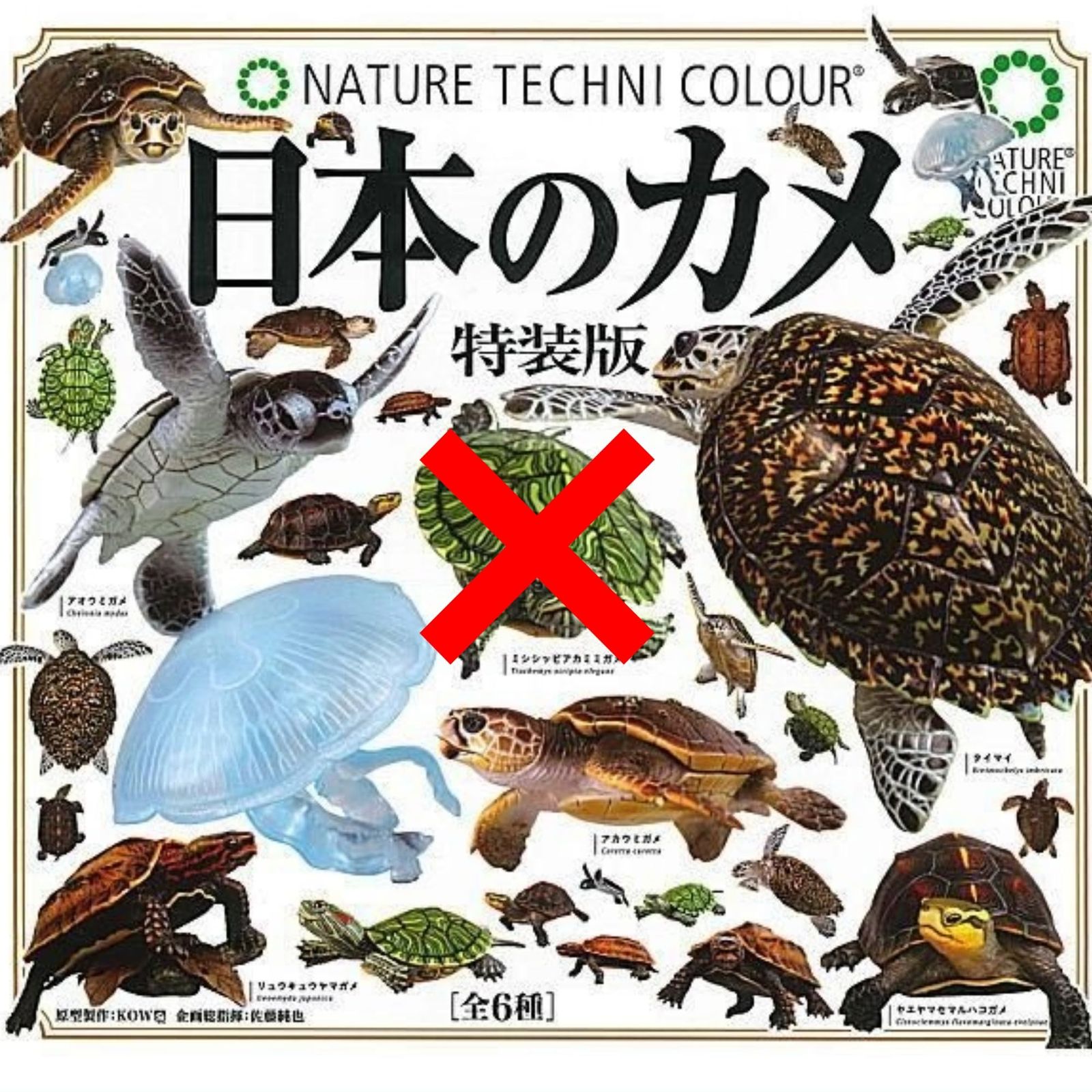 ネイチャーテクニカラー 日本のカメ クサガメ 奇譚クラブ 日本のカメ