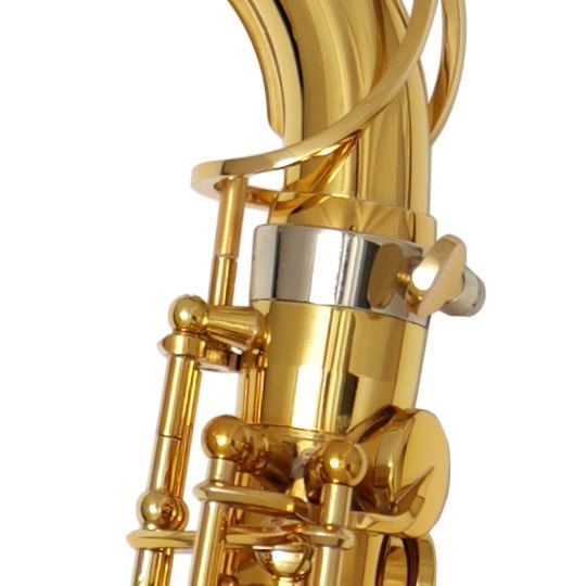 XYZ Saxophone Alto Accent [XYZ-ALC] - メルカリ