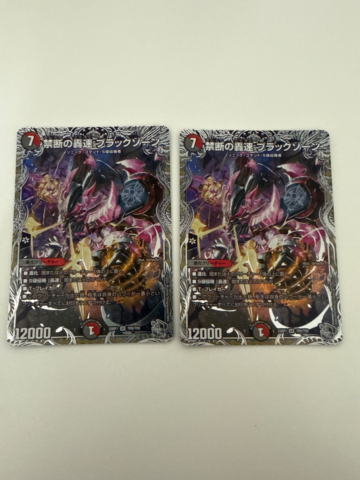 デュエルマスターズ 禁断の轟速ブラックゾーン 銀トレジャー 2枚