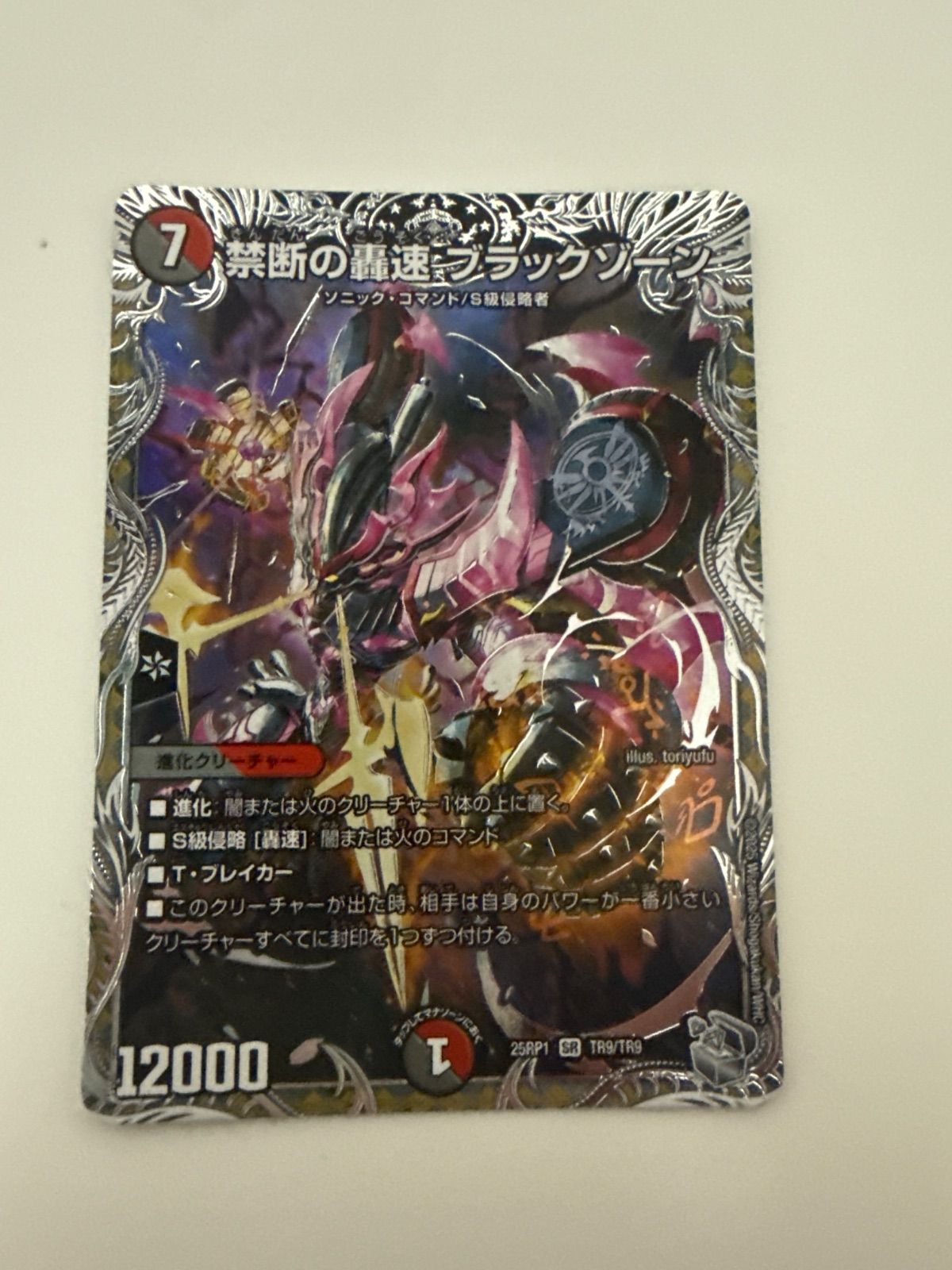 デュエルマスターズ 禁断の轟速ブラックゾーン 銀トレジャー 2枚