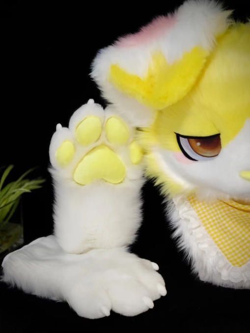 ☆ファースーツ 着ぐるみセット NO.301 犬 黄色 垂れ耳 ケモノ ファー