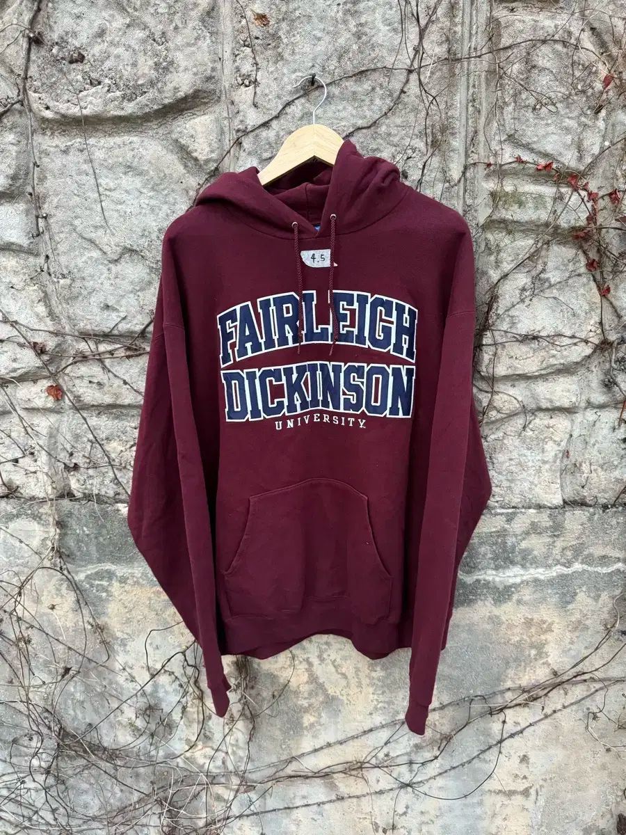 チャンピオン ヴィンテージ エコー フリース カレッジ 刺繍 WHO パーカー パーカーTシャツ フーディー xl