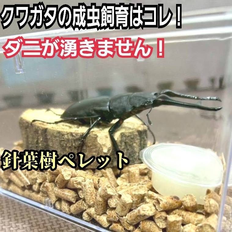 クワガタ・カブトムシの成虫専用マット　針葉樹ペレット【50L】防ダニ、消臭、抗菌 カブトムシ・クワガタの成虫飼育専用マット 高品質！ 針葉樹ペレット