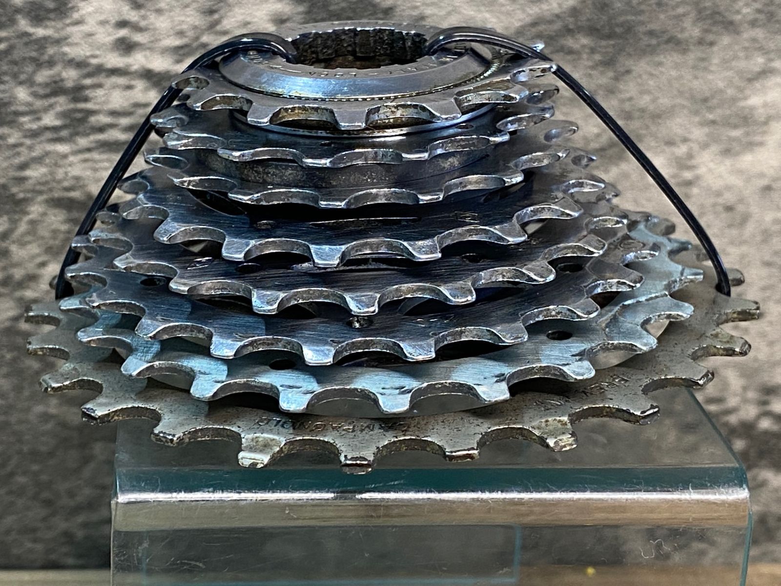 CAMPAGNOLO「カンパニョーロ」 8s 14-26 スプロケット CAMPAGNOLO「カンパニョーロ」 8s 14-26 スプロケット CAMPAGNOLO