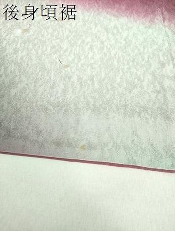 平和屋着物○訪問着 刺繍 手描き 舞蝶文 藤花房 暈し染め