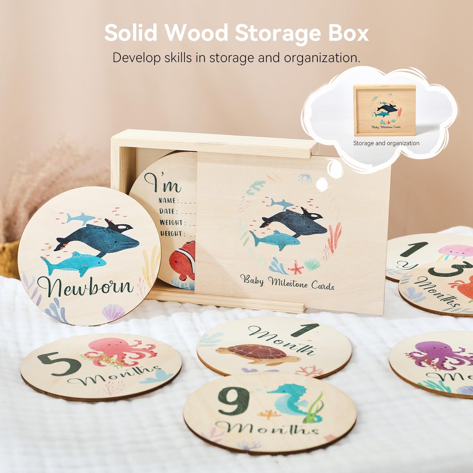 海洋動物 ウッド