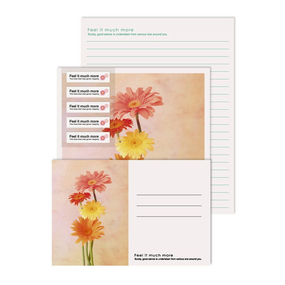 フォト レターセット ガーベラ キュービックス 105137 51