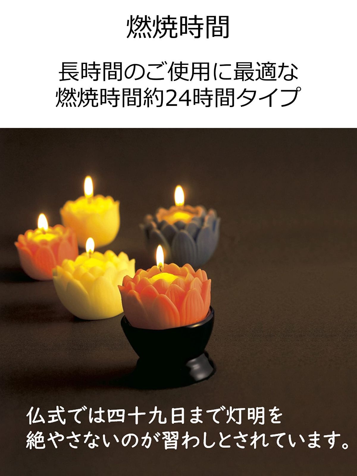 箱入り ホワイト