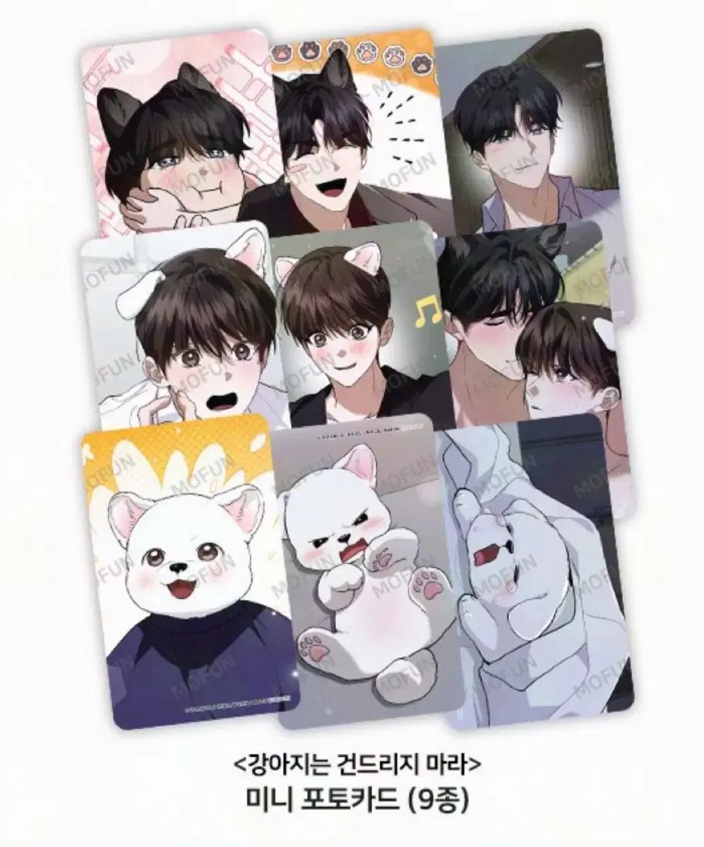 カン・ゴンマ 강아지는 건드리지마라 MOFUN 訪問トレカ 訪問フォト