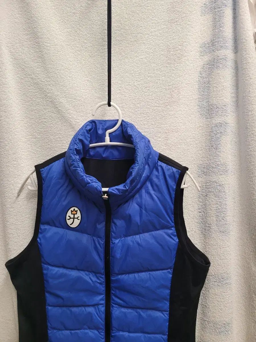 CASTELBAJAC カステルバジャック レディース ダウン ベスト 90 - メルカリ