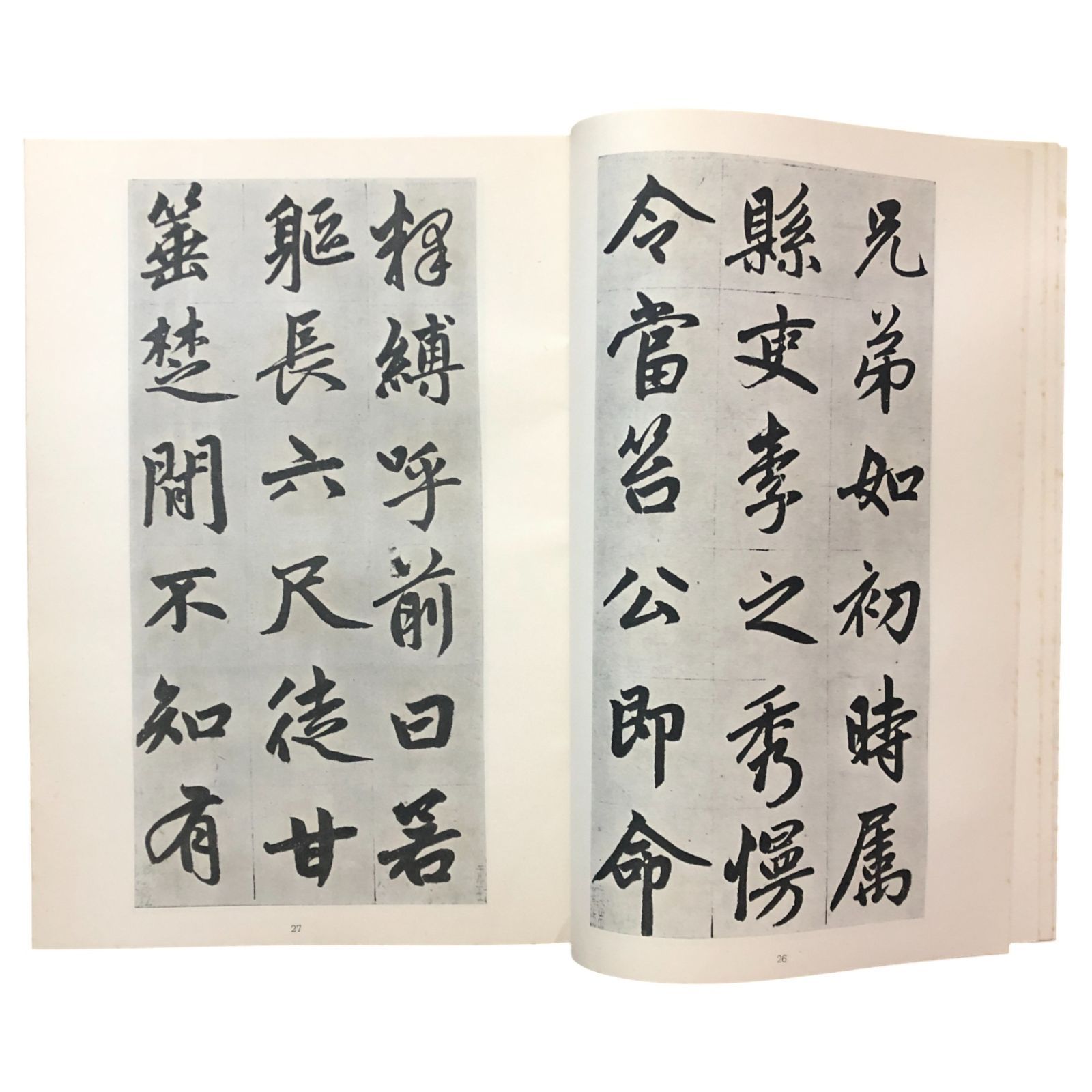 【中国書道】「潘伯鷹 - 海派代表書法家系列作品集」上海書画出版社 中国書道】「潘伯鷹 - 海派代表書法家系列作品集」上海書画出版社