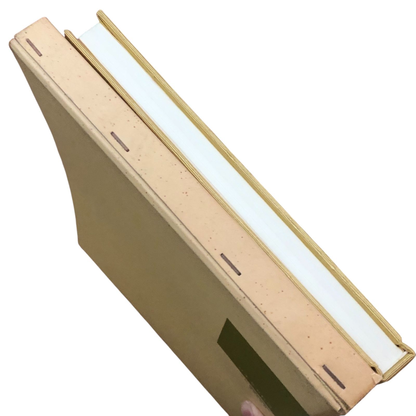 立華常道集 亀澤香雨作品集 亀澤香雨 日本華道社 昭和50年1月20日 第7