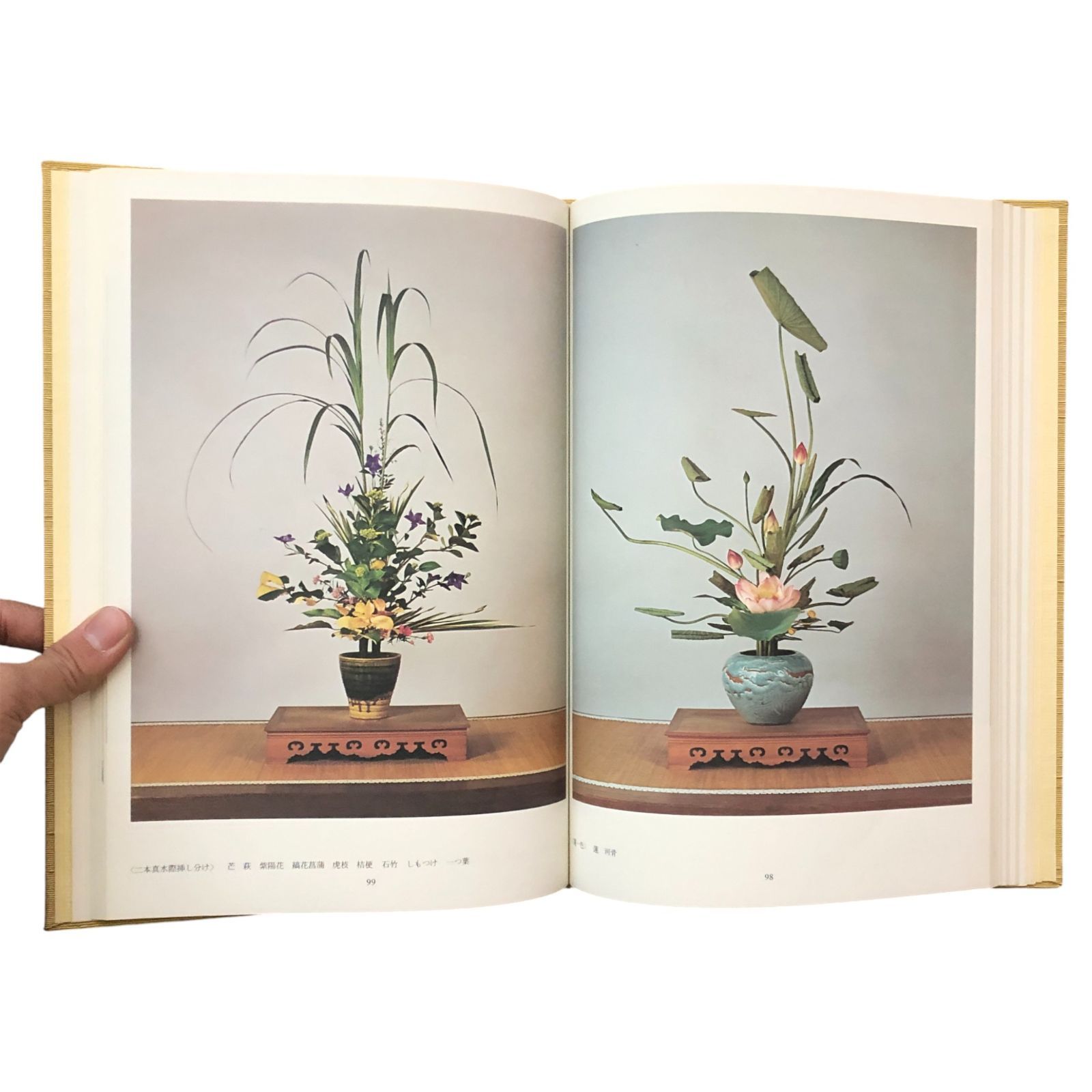 立華常道集　亀澤　香雨作品集 立華常道集 亀澤香雨作品集 亀澤香雨 日本華道社 昭和50年1月20日 第7