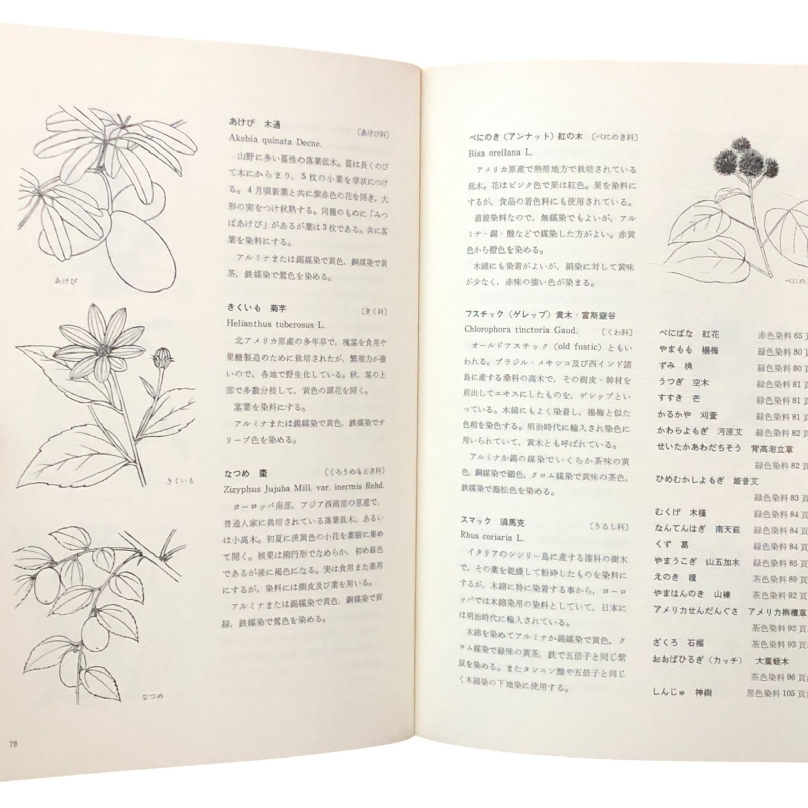 草木染 色と手法 山崎青樹 美術出版社 昭和49年3月25日 ☆工芸/染色