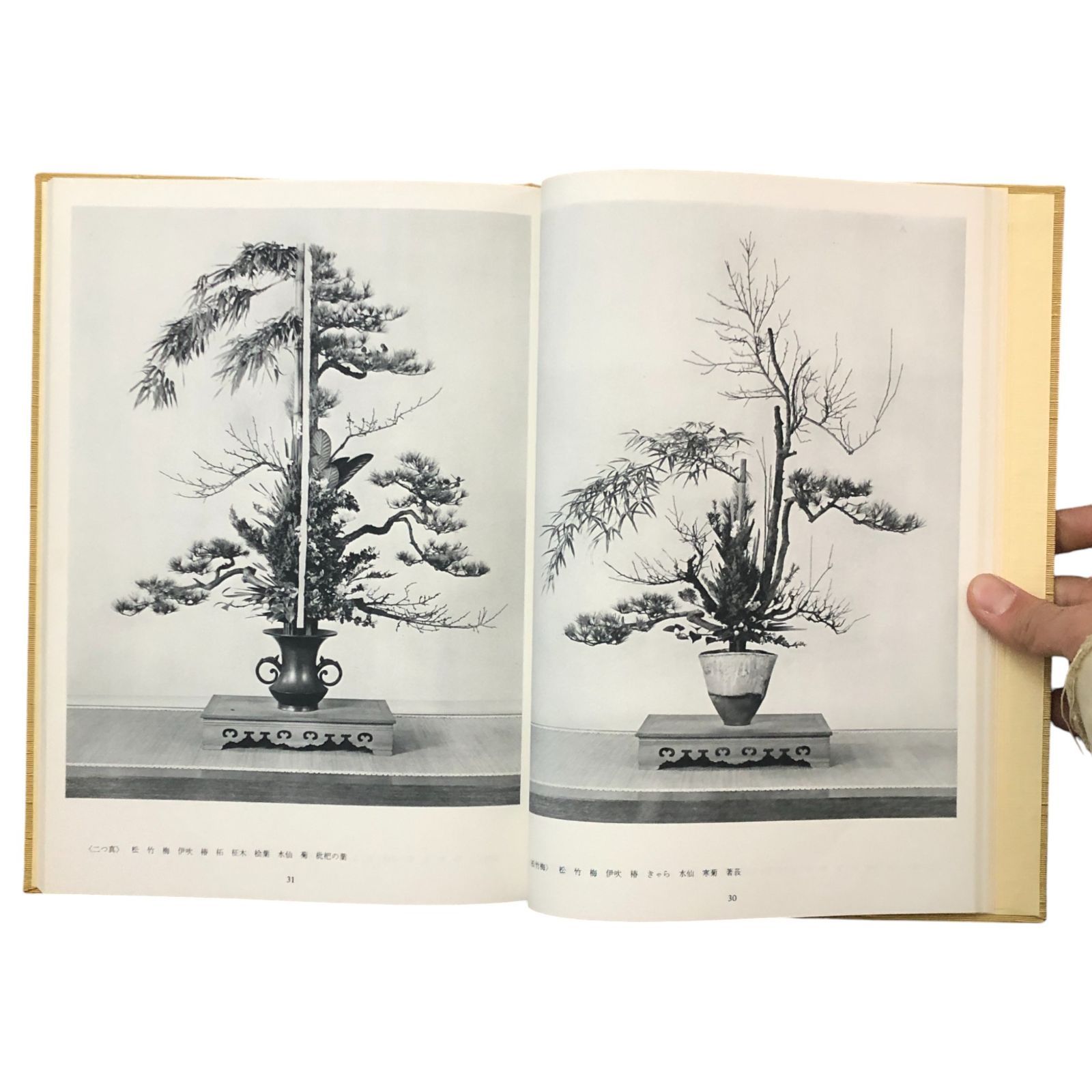 立華常道集　亀澤　香雨作品集 立華常道集 亀澤香雨作品集 亀澤香雨 日本華道社 昭和50年1月20日 第7