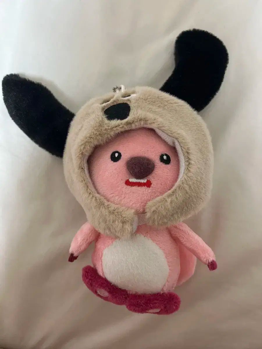  (新品) とても可愛いZANMANG LOOPY その他