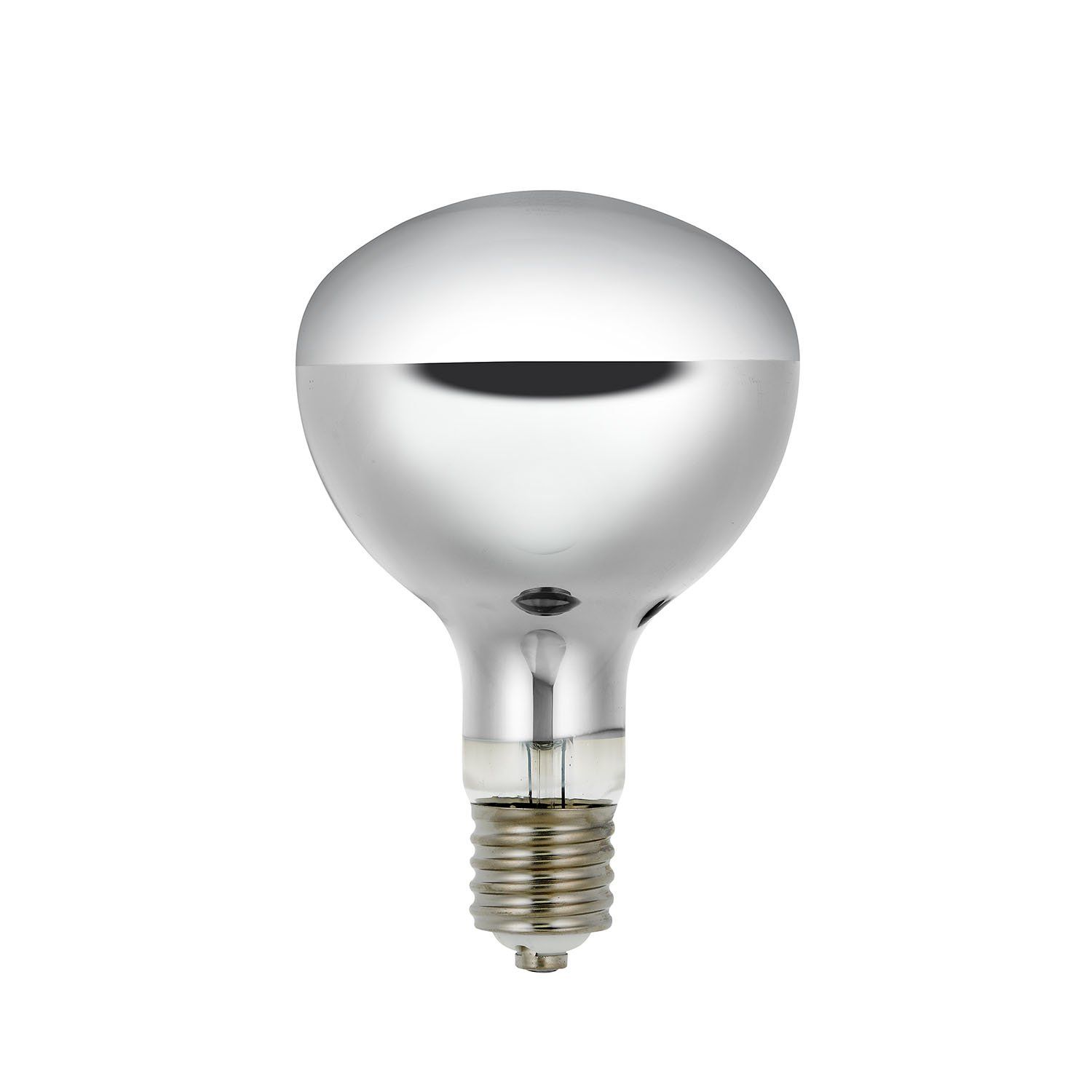 エルパ (ELPA) 屋外用レフランプ300形 電球 DIY 2800ｌｍ 270W 39mm 屋外/屋内兼用 ERF110V270W [270W形]