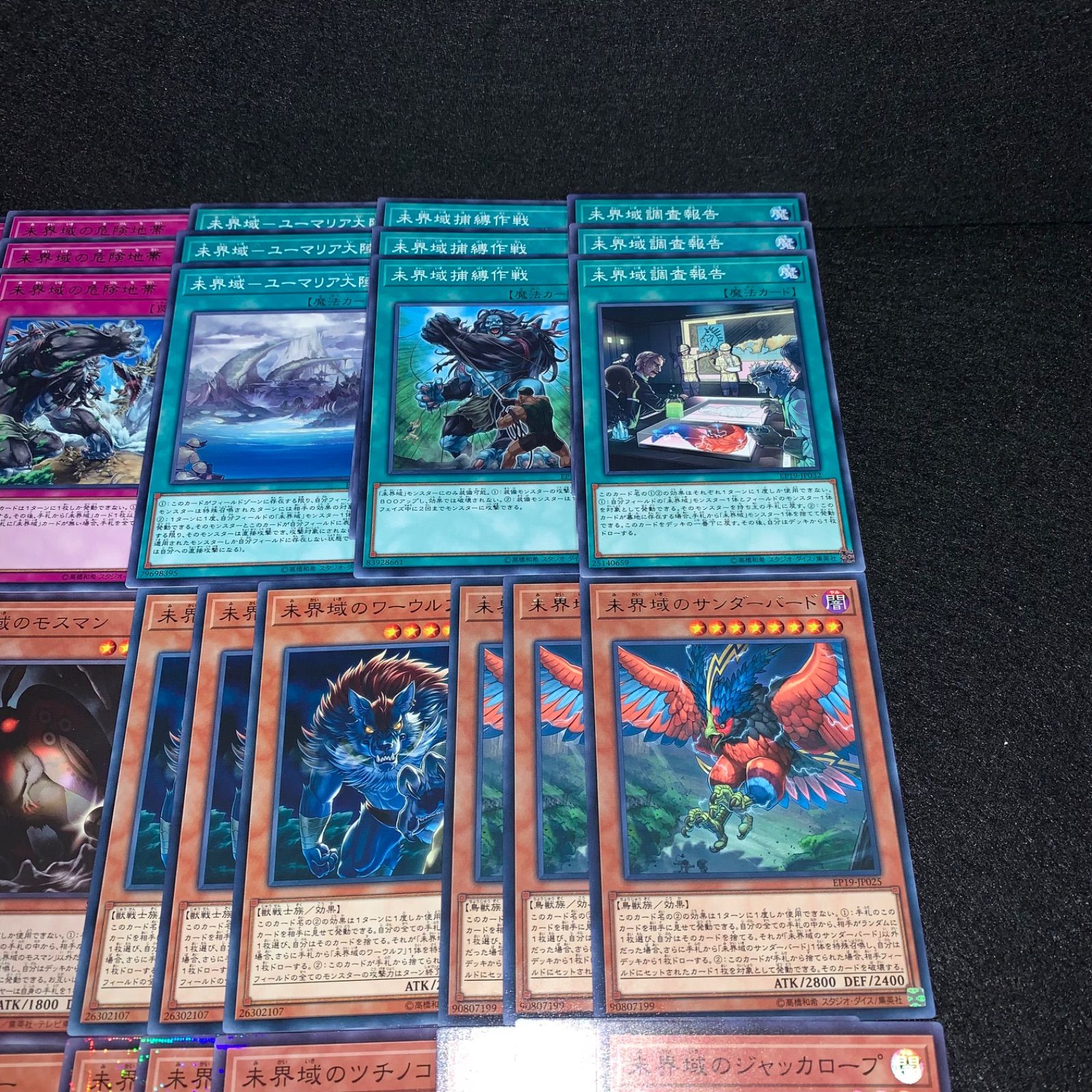 遊戯王 KYP526 未界域デッキ デッキパーツ 未界域のジャッカロープ 未