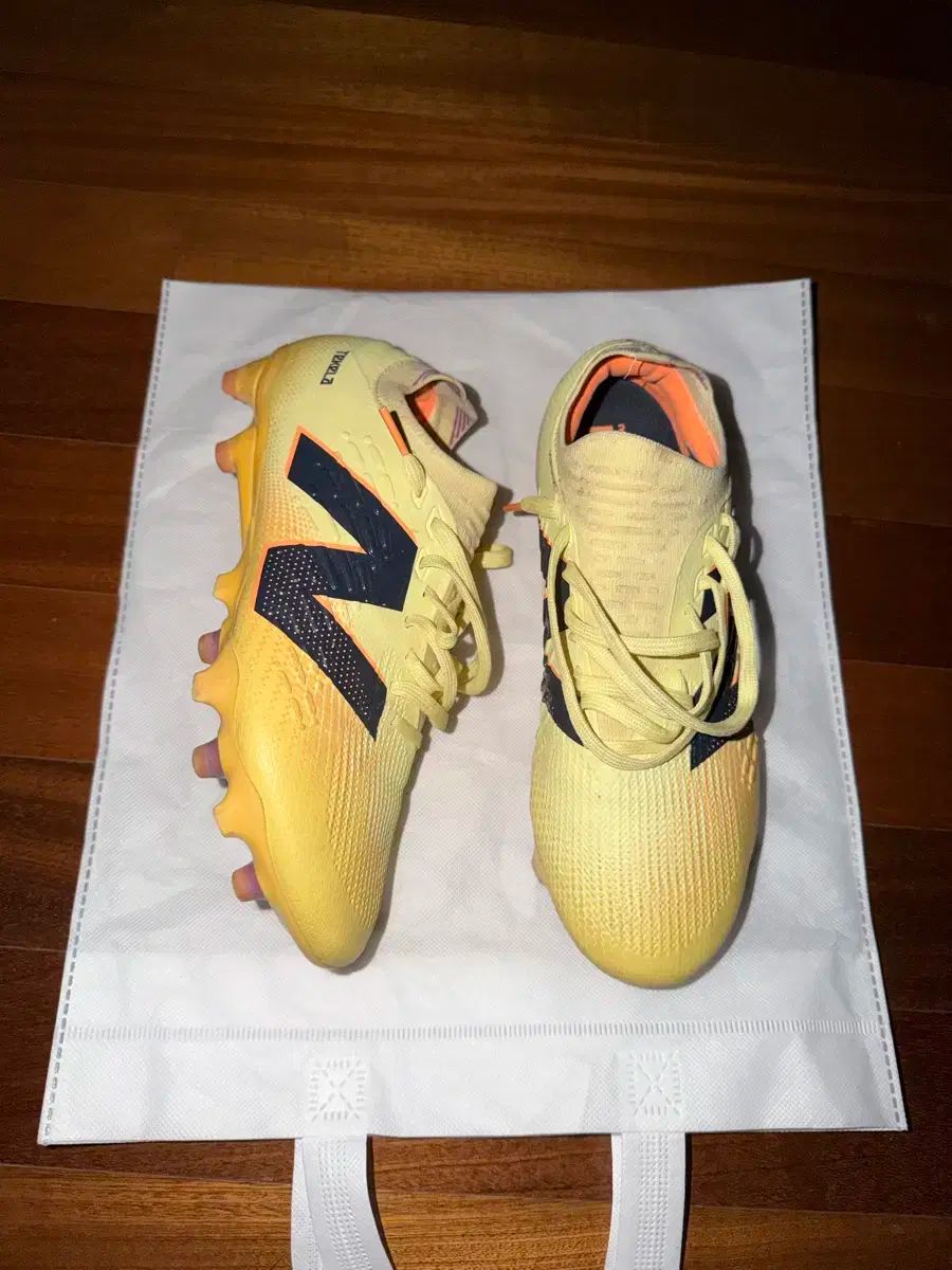 オンライン 絹本着色画 【 月 下 美 人 之 図 】 玉泉筆 桐箱 掛軸 一