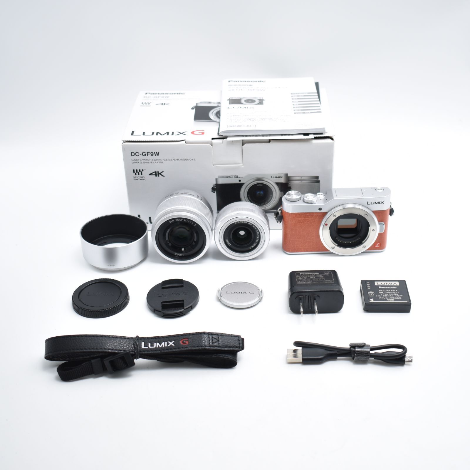 B#10260 パナソニック ミラーレス一眼カメラ ルミックス GF9 ダブル