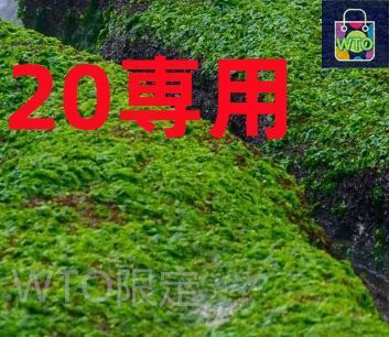 20専用 - メルカリ