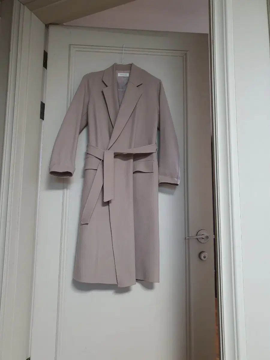 金運アップ】白トカゲ（フレーム付）