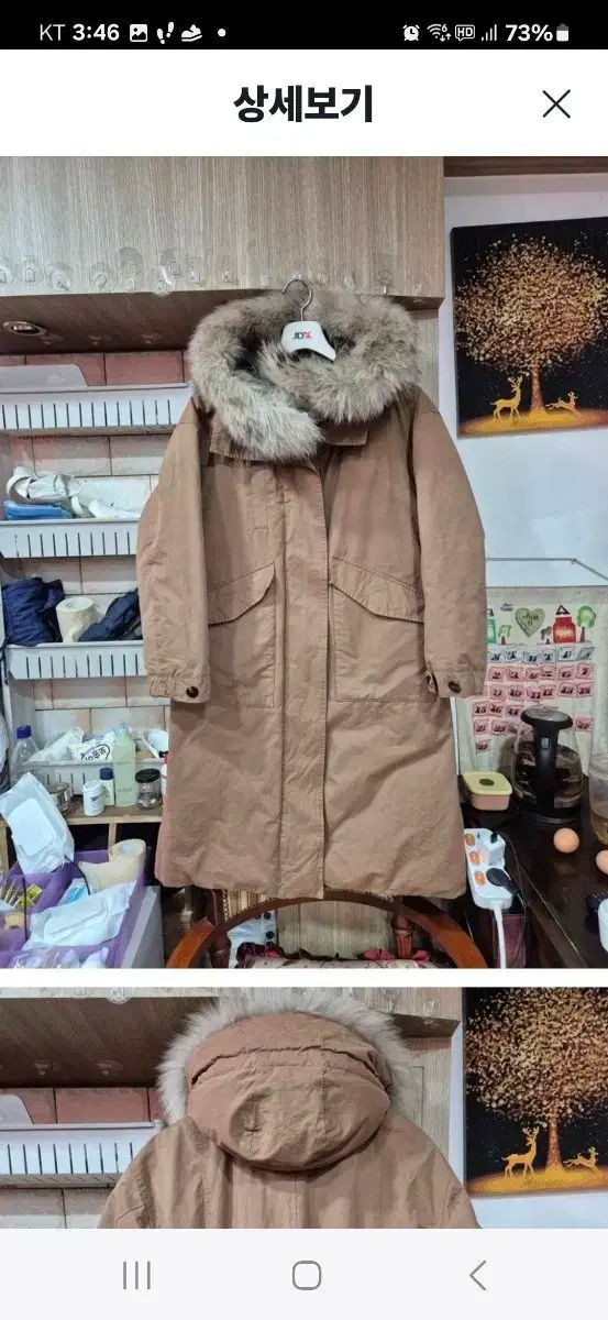 マンドリン 石川捷二郎監修 日本製 木製 貴重 Venezia RM-50