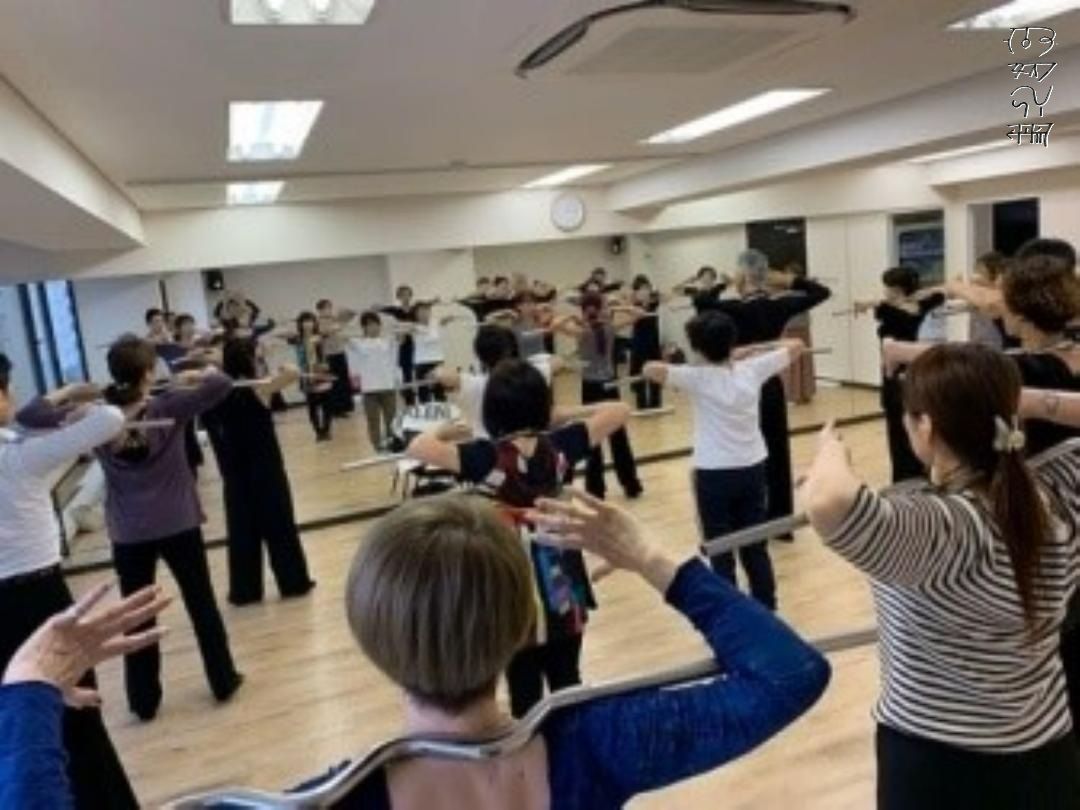 スイングバーPRO Mサイズ 【ステンレス製・3分割タイプ】