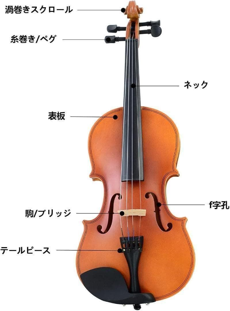 M2231-119-86】バイオリン 3/4 初心者セット ヴァイオリン 弓2本 M2231-119-86】バイオリン 3/4 初心者セット ヴァイオリン 弓2本 弓