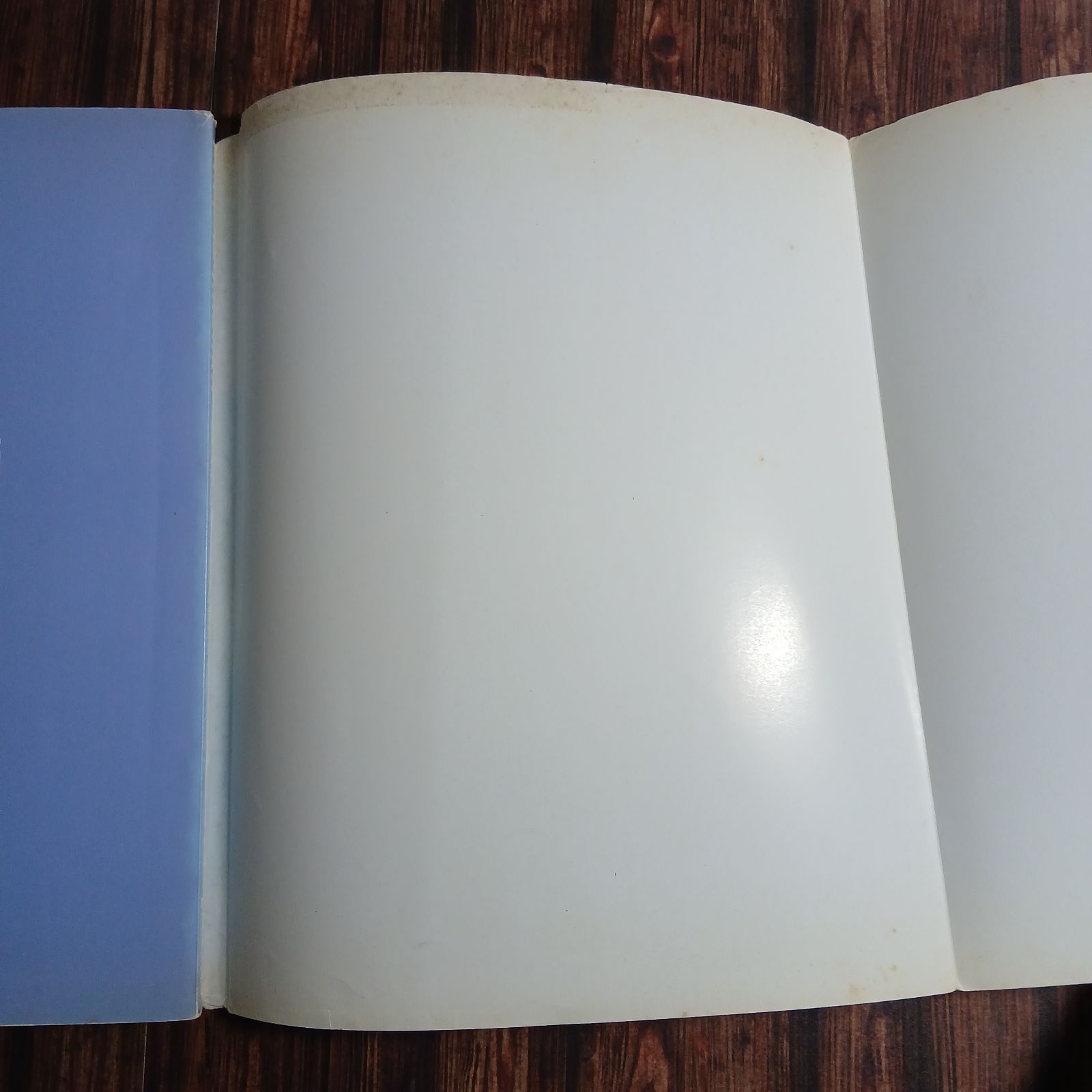 ローンウルフ　ワールドの完全ガイド　マグナマンド・コンパニオン ローンウルフ ワールドの完全ガイド マグナマンド・コンパニオン