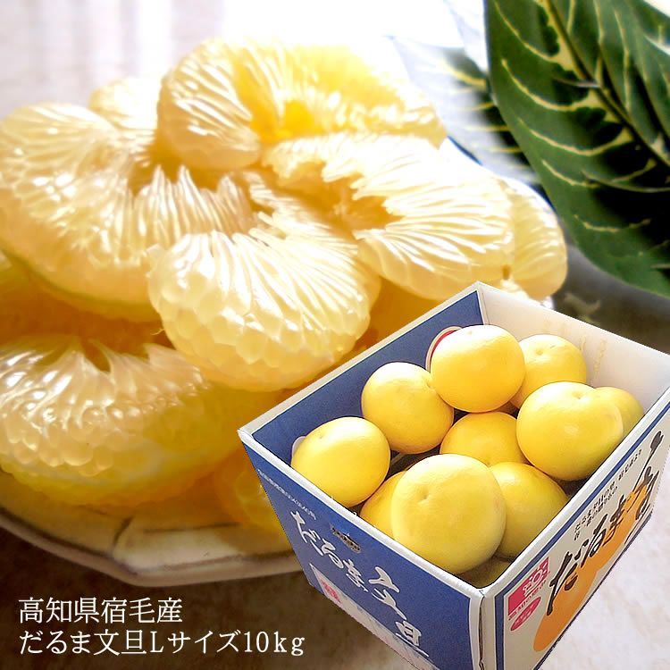 特価】USM Haller/ ハラー ドア用ロックハンドル 高品質 鍵なし