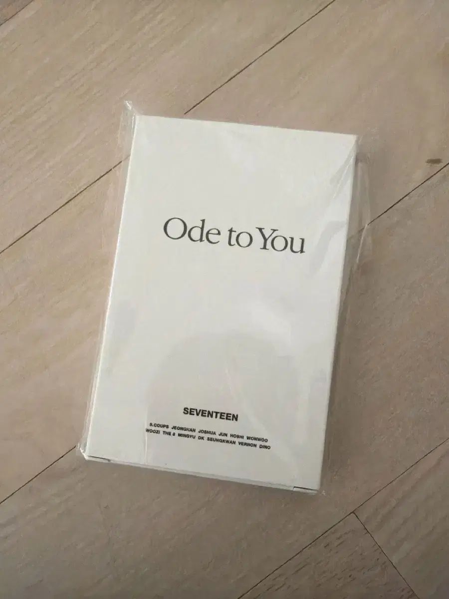 SEVENTEEN(セブンティーン・セブチ) ode to you チェキ ポラロイド