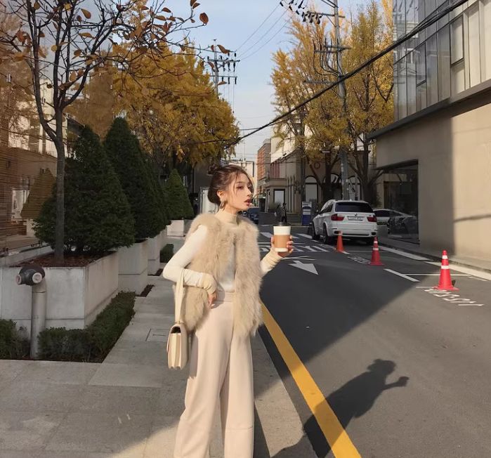  ファーベスト レディース ボリューム ファー ベスト フェイクファーベスト 秋 冬 ジャケット 上品 ノー 羽織り ボア ジレ コート アウター レイヤード その他 トップス