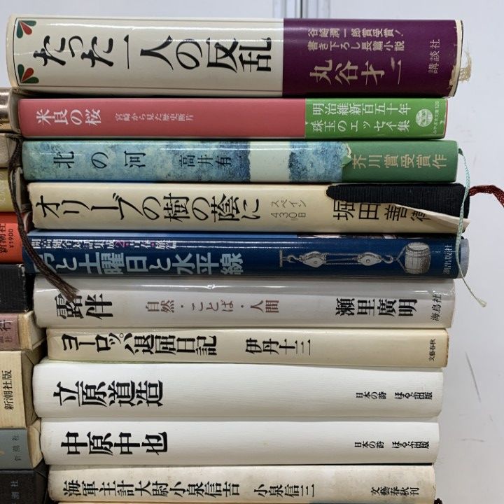 □01)【1点限り!】小説・エッセイ・評伝などの文学書 まとめ売り約30冊