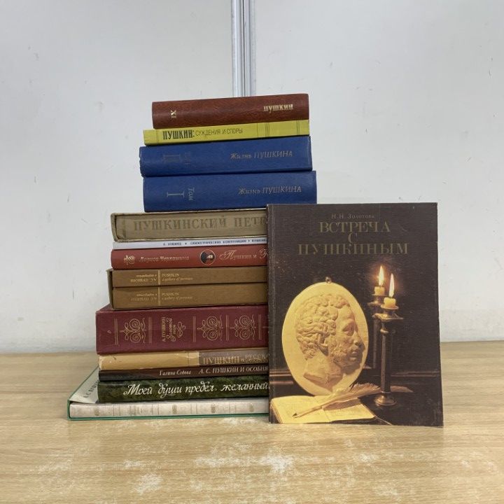 01 ! プーシキン関連のロシア語洋書 14冊セット 本 文学 文芸 詩人 作家 人生 判断 論争 文化 対称的 構成 邸宅 B