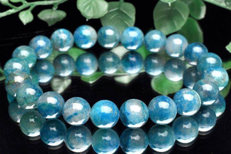 送料込み 約1800 400 450 白黒 アクリル水槽 エイ 生簀 爬虫類