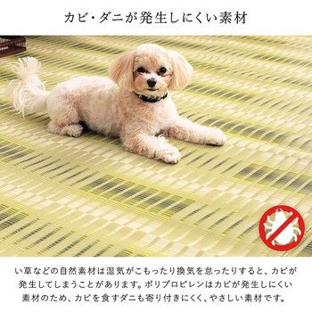 洗える ペット用カーペット ラグ 国産PP 江戸間10畳 畳 日和 ベージュ 洗える ペット用カーペット ラグ 国産PP 江戸間10畳 畳 日和 ベージュ 本間