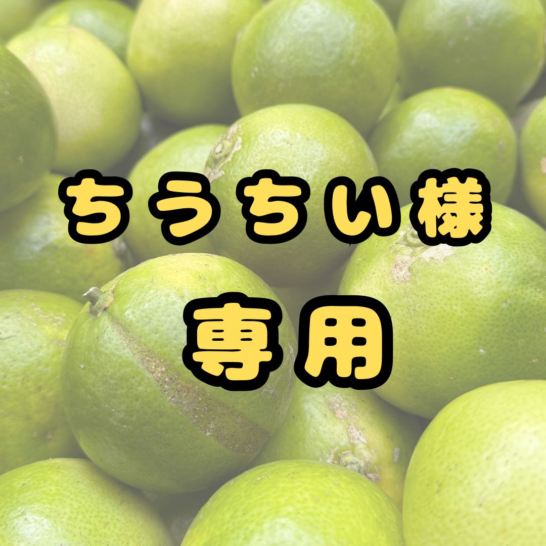 日本刀残欠クラフトナイフNo.96 藤井兼藤 切先