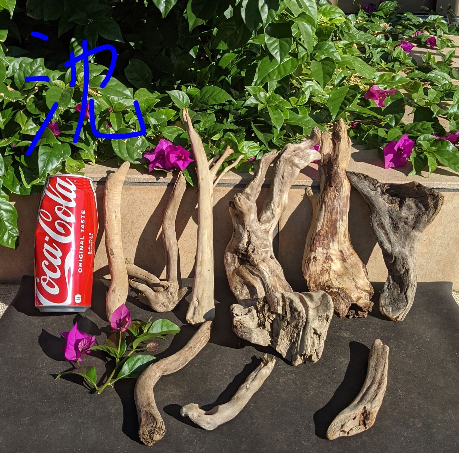 銀*時様 アク抜き済み流木　No.10 超レア型　沈水確認済 TAM6「沈水確認流木」【小型】10本組レイアウト用品、アク抜き済