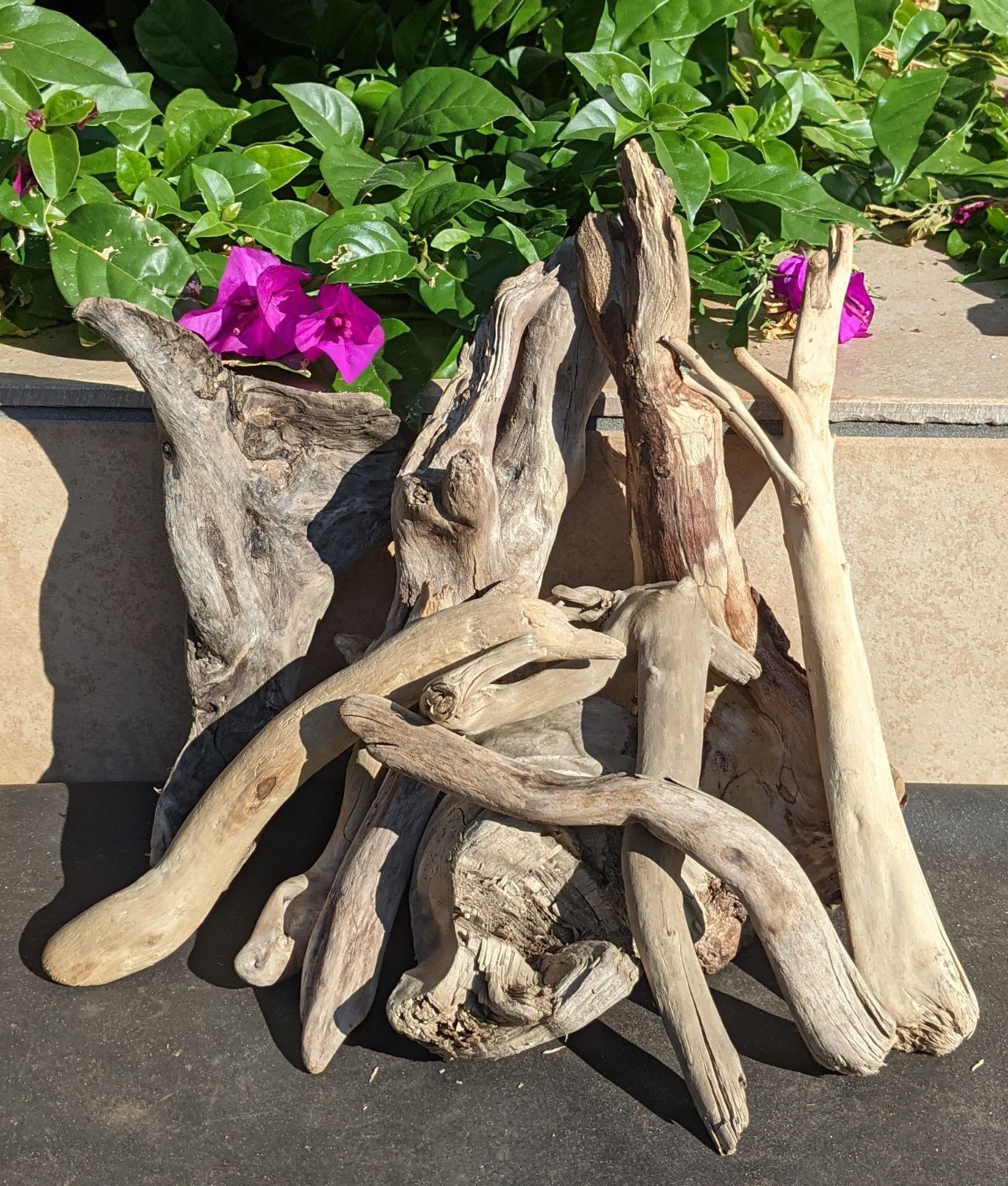 TAM6「沈水確認流木」【小型】10本組レイアウト用品、アク抜き済