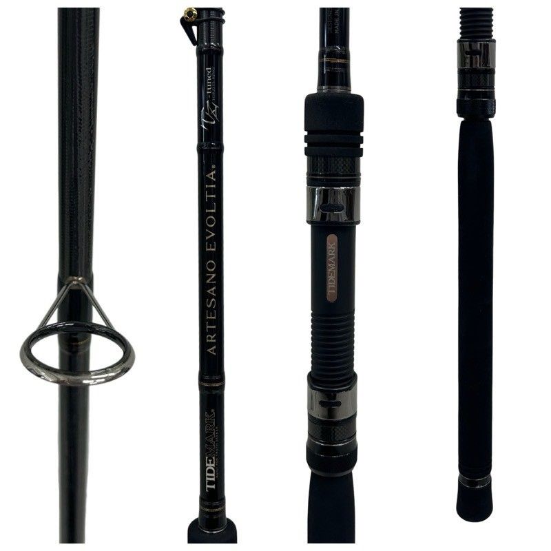 DAIKO ダイコー タイドマーク アルテサーノ エヴォルティア TZチューン