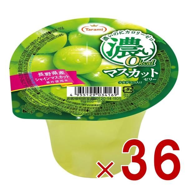 逸品】和竹 紀州 へら竿 日本号 水玉作 10.3尺